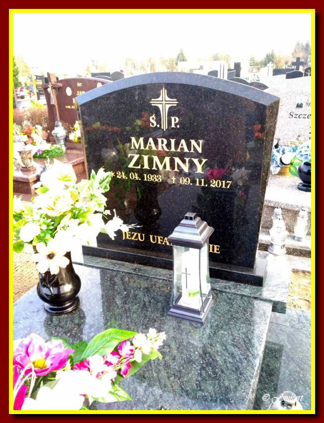 Zimny M.